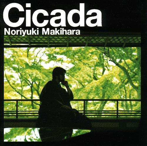 Cicada.jpg